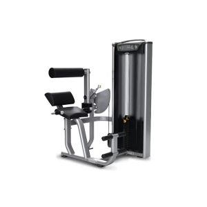 China Professional Matrix Exercise Equipment Seated Back Extension Machine on sale