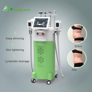 China Factory price 4 handles Cryolipolysis Fat Freeze Slimming Machine With 1600W Output Power factory