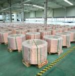 H65 Conductivity Solid Copper Wire Flexible Electrical Wire Diameter 0.5mm -