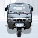 200cc Open Body Cargo Motor Tricycle with Water Cooling and Heavy Payload