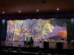 P3.91 Indoor Full Color Led Display Screen Video Advertising Led Tv Display