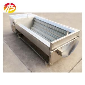 China Ginger Washing Machine Brush Roller for Carrot Cassava Potato Turmeric Yam Peeling factory