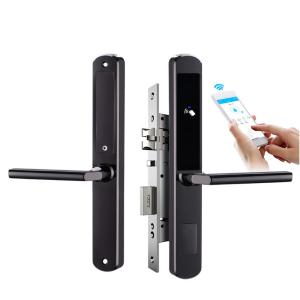 China RFID Card Waterproof Wireless Door Lock for Hotel and Dustproof TUYA and TTLCOK Smart Door Lock factory