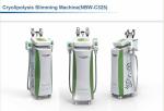 cool body sculpting coolsculption machine for sale