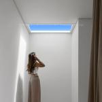 Factory-Direct Smart Skylight – App & Remote Operated, Simulates Natural Light,