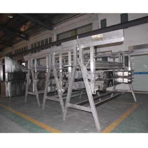 2000BPH Poultry Butchering Equipment SS 304 Automatic Chicken Slaughter Line