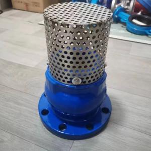 China GGG50 PN10/16 cast iron foot valve factory