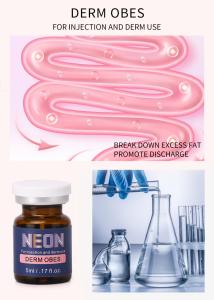 China Mesotherapy Cellulite Treatment Injection Anti Obesity Slimming Derm Obes factory