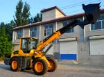 2.5ton 1.3m3 bucket telescopic boom wheel loader with max lifting height 6000mm