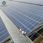 5.5-7.5m Height Photovoltaic Greenhouse With Solar Panel Roof