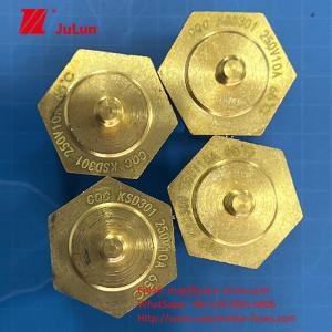 China Brass Cap Screw Thermistor Temperature Sensor Thermal Expansion Of Metal In Jump Switch 250V factory