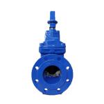 PN10/PN16 Soft Seated Gate valve Flange End DN50-DN800