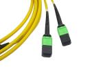 24core Mtp Mpo Fiber Patch Cable 3.0mm Single Jacket Or 4.6mm Double Jacket