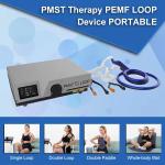 Pmst Double Loop Mat Physical Therapy Physio Portable PEMF Magnetic Therapy