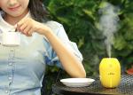 Lemon humidifier 5v ultrasonic air washer room humidifier, humidifier ultrasonic