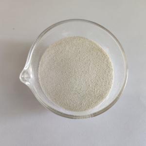 China Highly Active Endo Bakery Enzyme Xylanase In Food For Flour Improvement factory