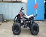 Electric Start Youth Racing ATV Front Drum Brake Rear Disc Brake 12V 4AH Battery
