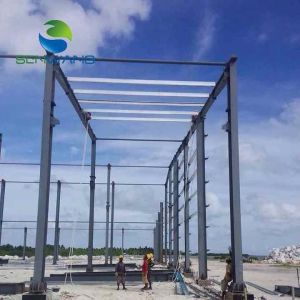 Customized Large Square Meter Warehouse Steel Structure Wide Span Professional
