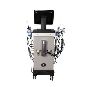 14 in 1 Multifunction Hydra Facial Machine Microdermabrasion Peeling and Water