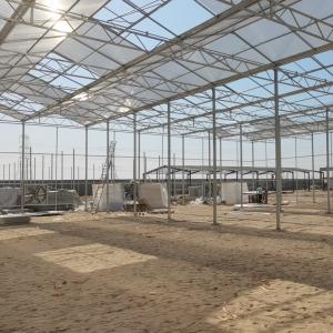 China Low Cost Polycarbonate Sheet Greenhouse For Bananas Cucumber Tomatoes Lettuce factory