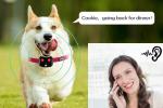 Ariza Geo-Fence Wifi Pet Tracker , Real Time Gps Tracker For Dogs