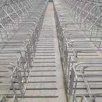 2.5mm tube Sow Raising Pig Gestation Crate