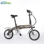 E6-4 2 Wheel Electric Bike 36V 250W Brushless Motor Lithium Battery Aluminum