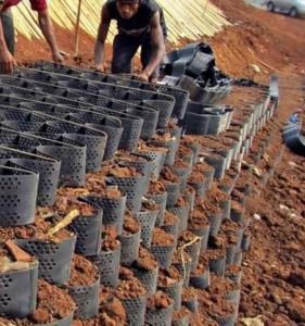 China Reinforced HDPE Cellular Confinement Geocell Fabric For Slope Protection factory