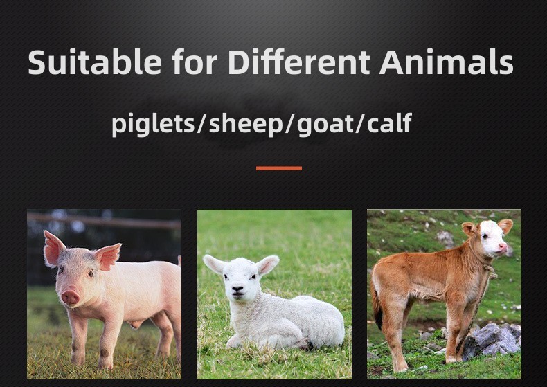 Automatic Heating Piglets Milk Feeding Equipment Stainless Electric Long Lasting