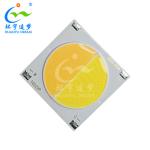 Dualcolor2825 COB LED Chip On Board LED Lighting 2700/6500K With Best Customer
