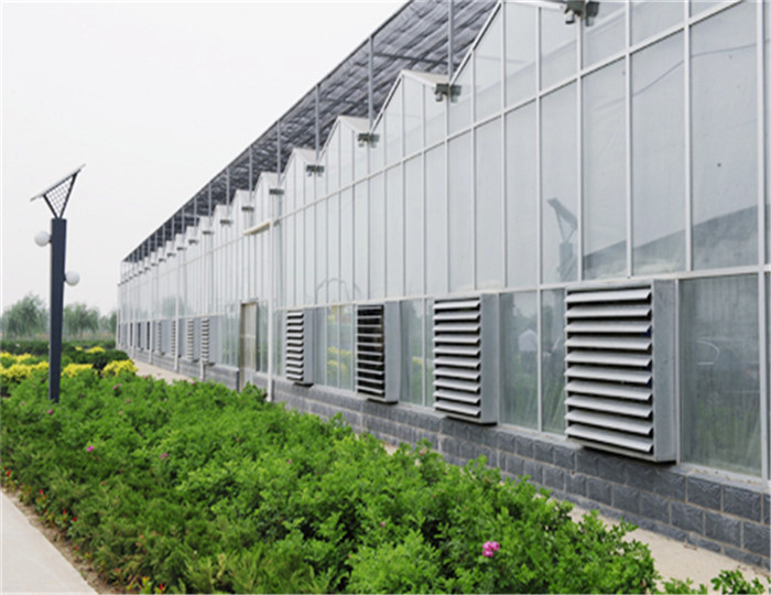 Hot Dipped Galvanized Steel 7.5m PC Sheet Greenhouse