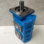 CBGJ Double Pump Square cover Spline Compact Original Gear Pump For Engineering