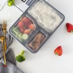 Food Grade PP 22*17.5*4.5cm Multi Compartment Food Tray