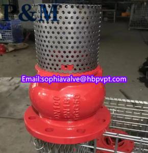 China dn100 pn16 GGG50 foot valve stainless steel screen factory