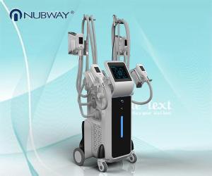 China effective hot sale 4 handles cryolipolysis fat freezing machine factory
