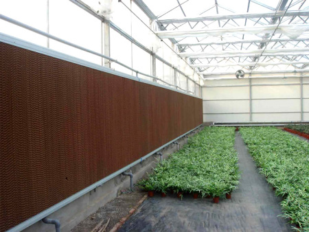 Customized Chicken Farm High Water Resistant Outdoor Cooling System for Chicken House Evaporative Cooling Pads