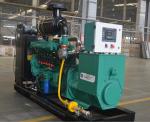 Natural gas power generator at factory price