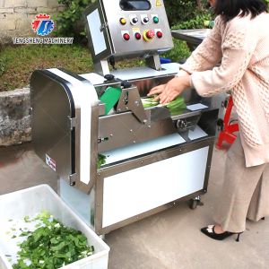 Double head vegetable cutting machine Onions Saiko persimmon papaya Potato