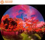 360 Degree Immersive Experience Projection Dome Screen Flying Cinema