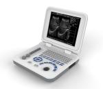 10.4 Inch LED Portable Ultrasound Scanner Clear Imaging With High Pressure Probe