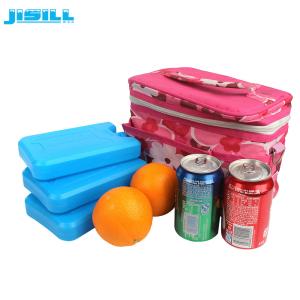 China Hot Sale reusable food grade Hard shell plastic reusable gel ice brick for lunch bag for food frozen factory