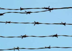 China Galvanised Garden Security Barbed Wire 25M Length 1.7mm Wire Diameter factory