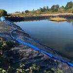 500 microns Dam Linings Prices HDPE Geomembrane Waterproof for Fish Farming Pond