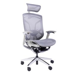 China Dvary Chromed Butterfly Ergonomic Mesh Office Chair Sync Sliding Swivel Seating Chair factory