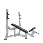 Befreeman High Quality Gym Equipment Wholesale Hot Sale Incline Bench Pin Load