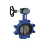 Stainless Steel Wafer Butterfly Valve Fluorine Rubber Ring Manual Handle