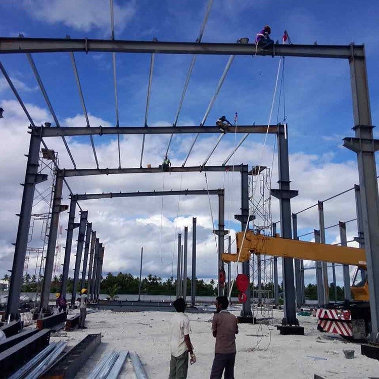 Autocad Designed Light Weight Steel Structure Warehouse Steel Finish Painting Or Hot-Dip Galvanized