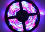 Red RGB LED Strip Lights 12V , 5m 5050 RGB 300 LED Strip Lights