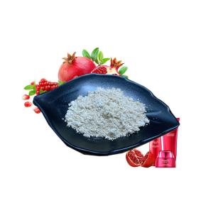 China Anti Cancer Pomegranate Extract Ellagic Acid Cosmetics Raw Material 95% 98% 99% factory
