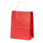 Recycled Twist Handle Campany Logo Printing Brown Kraft Paper Bag